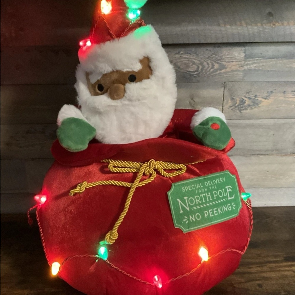 adidas Red and Green Santa Sack with Lights